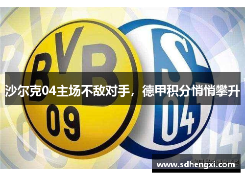 沙尔克04主场不敌对手，德甲积分悄悄攀升